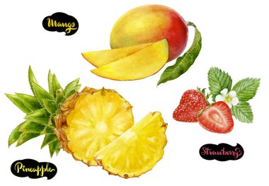 Mango ananas çilek suluboya elle çizilmiş çizim seti