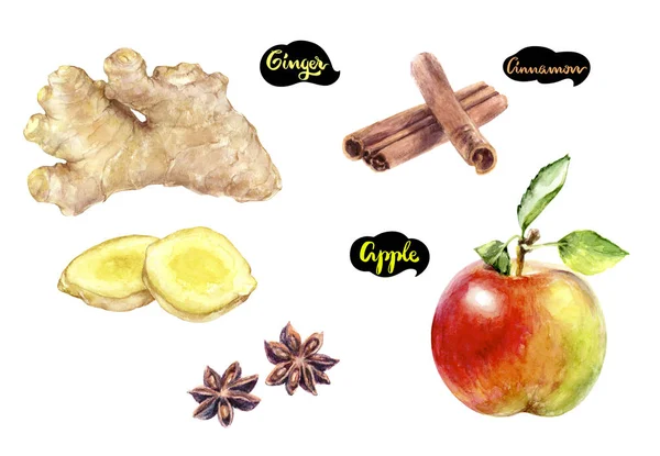 Zenzero mela cannella acquerello disegnato a mano illustrazione — Foto Stock