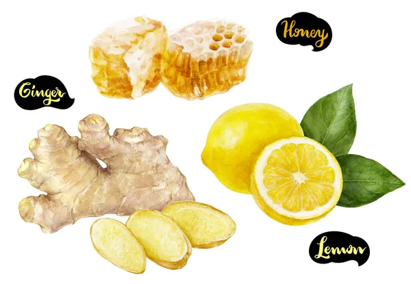 생강 레몬 꿀 수채화 손으로 그려진된 그림 — 스톡 사진