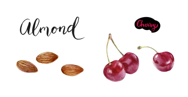 Almond cherry akwarela odręczne ilustracja zestaw — Zdjęcie stockowe