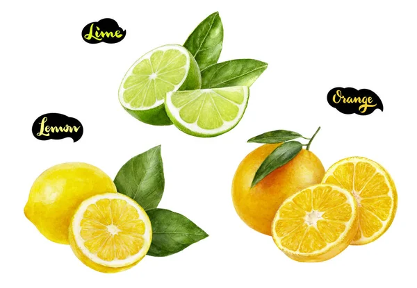 Lemon lime pomarańczowy akwarela odręczne ilustracja zestaw — Zdjęcie stockowe