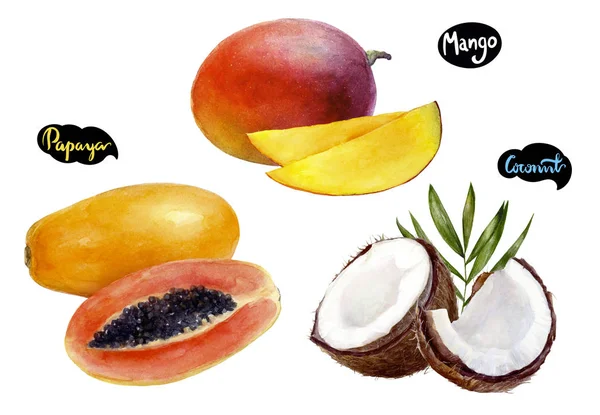 Mango kokosowe papaya akwarela odręczne ilustracja zestaw — Zdjęcie stockowe