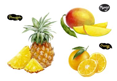 turuncu ananas mango suluboya elle çizilmiş çizim seti