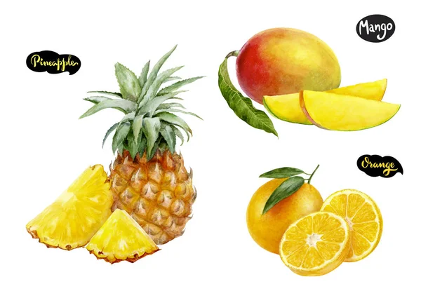 オレンジ色のパイナップル マンゴー水彩手描きイラスト セット — ストック写真