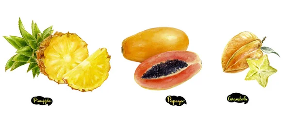Carambola, ananas, papaya set acquerello disegnato a mano illustrazione . — Foto Stock