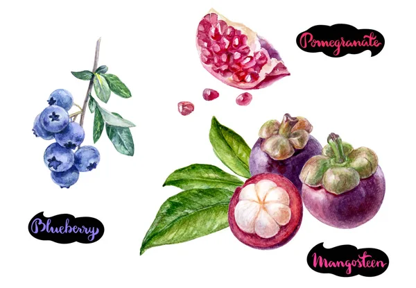 Mangostan-Blaubeeren-Granatapfel — Stockfoto