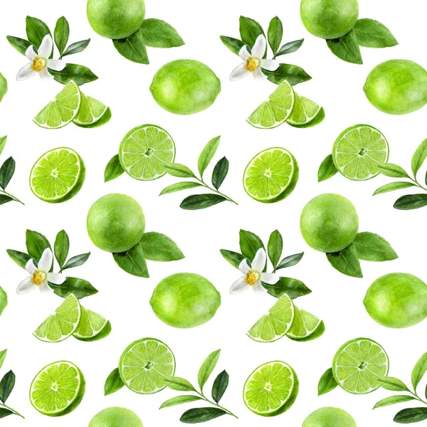 Limettenfrüchte nahtloses Aquarellmuster. Illustration zur Handzeichnung. — Stockfoto