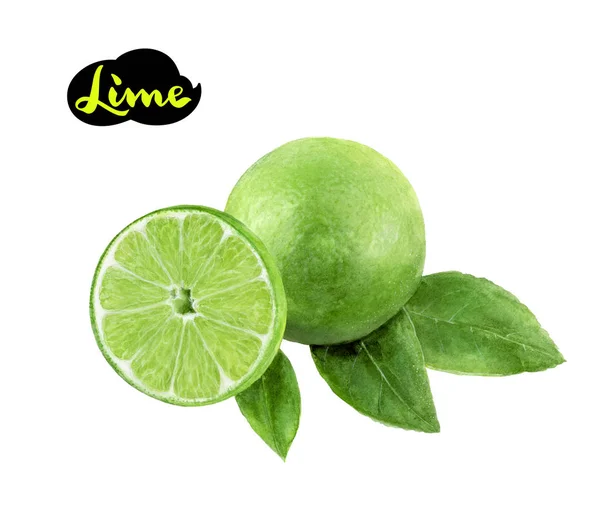 Lime with leaf watercolor hand draw illustration — Stock Photo, Image