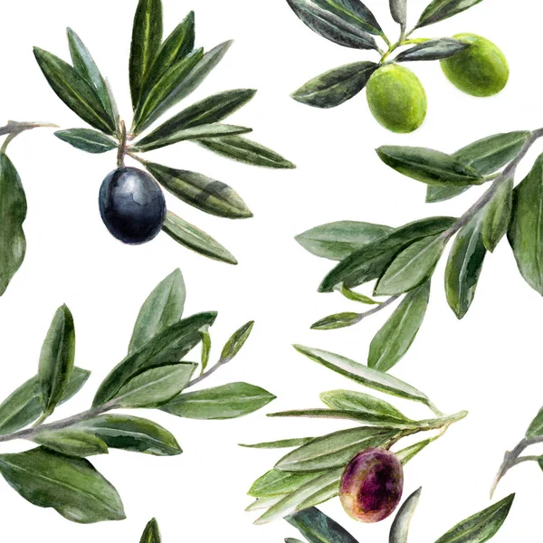 Olivenzweig Aquarell von Hand gezeichnet nahtloses Muster. — Stockfoto