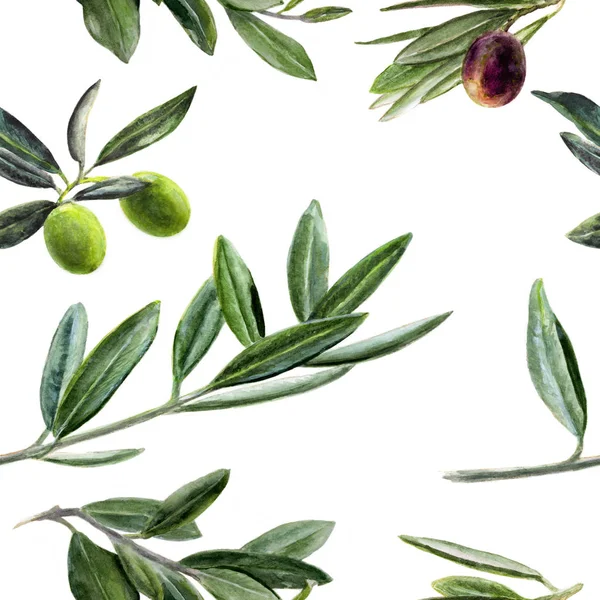 Olives branch watercolor hand drawn seamless pattern. — Stock Photo, Image