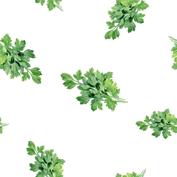 Watercolor hand drawn parsley spices isolated seamless pattern. — Stock Photo, Image