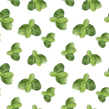 Suluboya el çekilmiş nane izole seamless modeli.