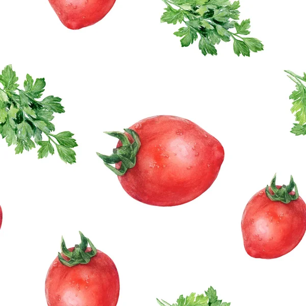 Suluboya el çekilmiş maydanoz domates izole seamless modeli. — Stok fotoğraf