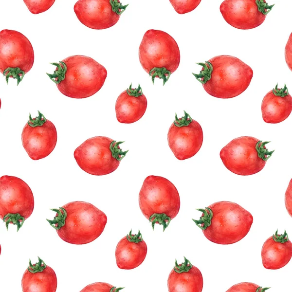 Aquarel hand getekende tomaten geïsoleerde naadloze patroon. — Stockfoto