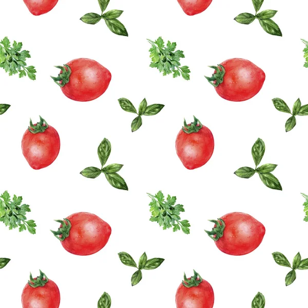 Watercolor hand drawn parsley tomatoes basil isolated seamless pattern. — Stock Photo, Image