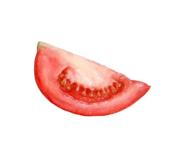 흰색 절연 수채화 손으로 그린 토마토. — 스톡 사진