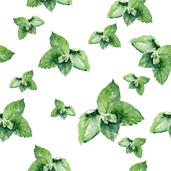 Watercolor hand drawn mint isolated seamless pattern. — Stock Photo, Image