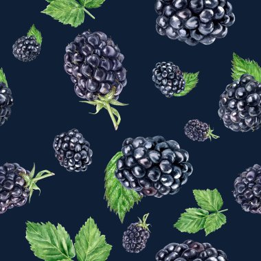 Suluboya el böğürtlen izole dikişsiz desen çizilmiş.