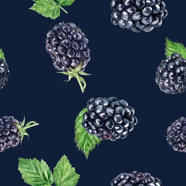 Acquerello disegnato a mano Blackberry isolato modello senza soluzione di continuità . — Foto Stock