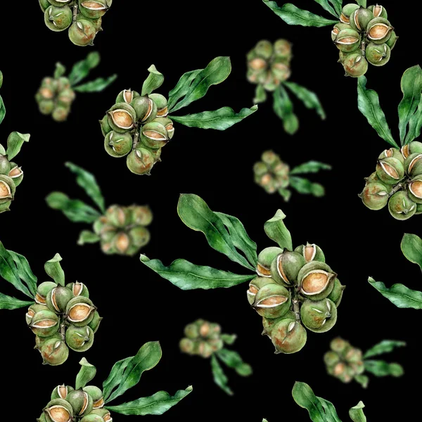 Aquarell handgezeichnete Macadamia isoliert nahtlose Muster. — Stockfoto