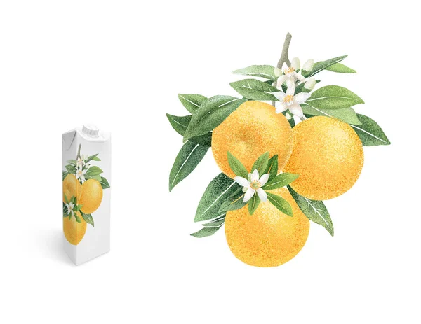 Rama naranja con frutas y flores dibujo a mano ilustración — Foto de Stock