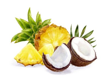 Beyaz arka planda izole ceviz fındık suluboya