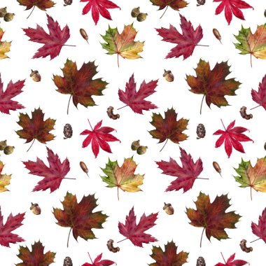 Suluboya el çizilmiş sonbahar yaprağı izole dikişsiz desen.