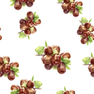 Tarih meyve el çizilmiş suluboya illüstrasyon. Dikişsiz desen.