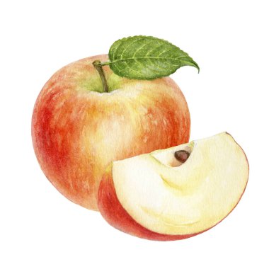 Elma sulu boya illüstrasyon izole beyaz arka plan üzerinde