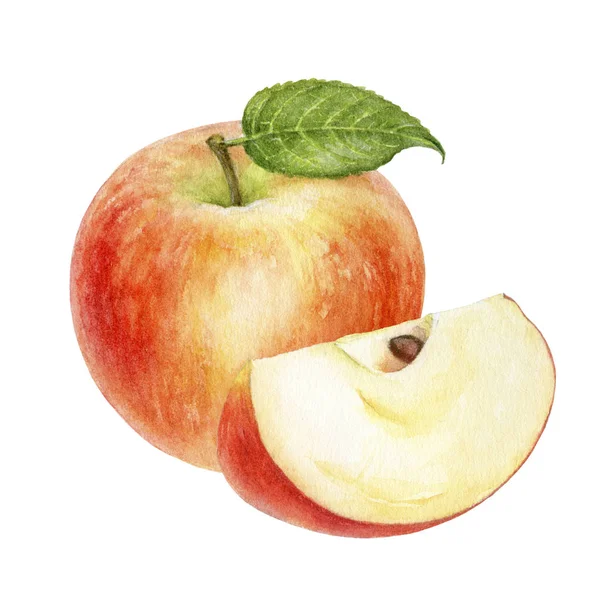 Elma sulu boya illüstrasyon izole beyaz arka plan üzerinde
