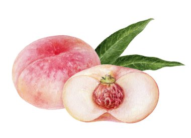 Pembe incir şeftali meyve suluboya beyaz arka plan izole