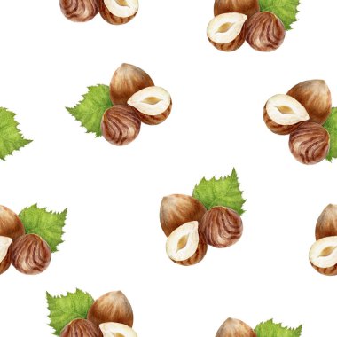 Fındıklı el suluboya çizimi. Kusursuz desen.