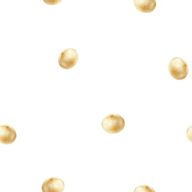 Macadamia el çizimi suluboya çizimi. Kusursuz desen.