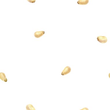 Çam fıstığı eli suluboya çizimi. Kusursuz desen.