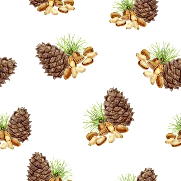 Pine nut hand drawn watercolor illustration. Seamless pattern.