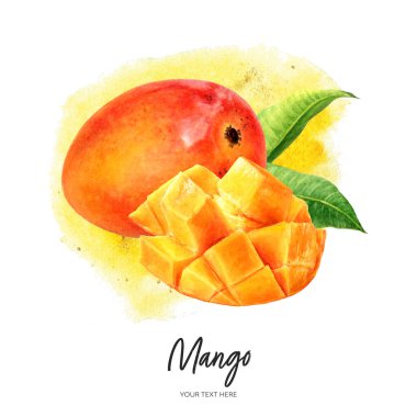 Yapraklı mango meyvesi suluboya el çizimi suluboya arka plan.