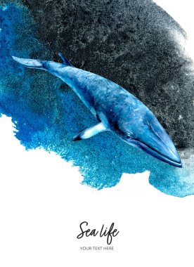 Su sıçratan arkaplan dokusuna çizilmiş balina suluboya elle davetiye tasarımı şablonu.