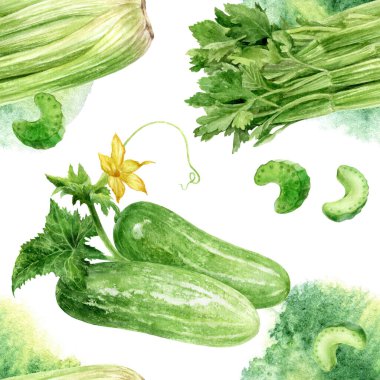 El çizimi suluboya salatalık kereviz pürüzsüz desen ve beyaz arka planda yeşil renk.