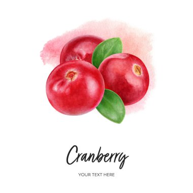 Beyaz arka plan üzerine çizilmiş el boyası renginde yaban mersini bileşimi.