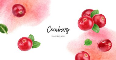 Kızılcık böğürtlenli, yatay afiş, suluboya el çizimi, suluboya arkaplan beyazı..