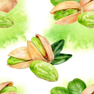 Beyaz arka planda suluboya dikenli dikişsiz suluboya desenli el yapımı şam fıstığı..