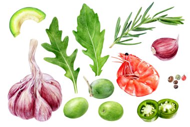 Sarımsaklı karides zeytin biberiyeli roka avokado jalapeno biberleri beyaz arka planda izole edilmiş suluboya tabloları.