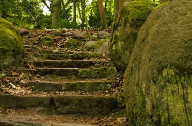 Kefaretlerin arasındaki eski adımlar