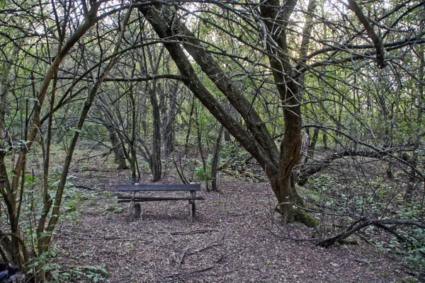 The old dilapidated wooden bench in the forest.