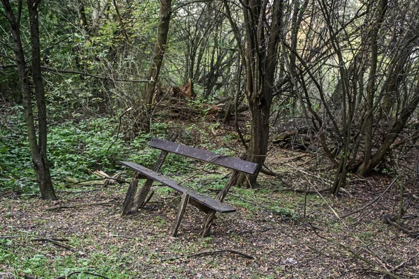 The old dilapidated wooden bench in the forest.