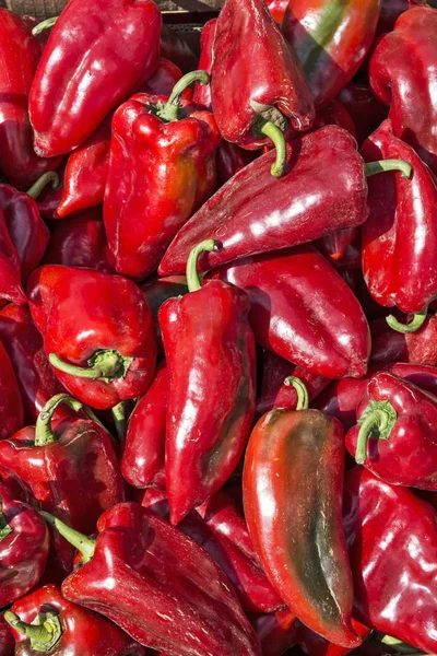 Pimientos Rojos Carnosos Mercado Esperando Ser Vendidos — Foto de Stock