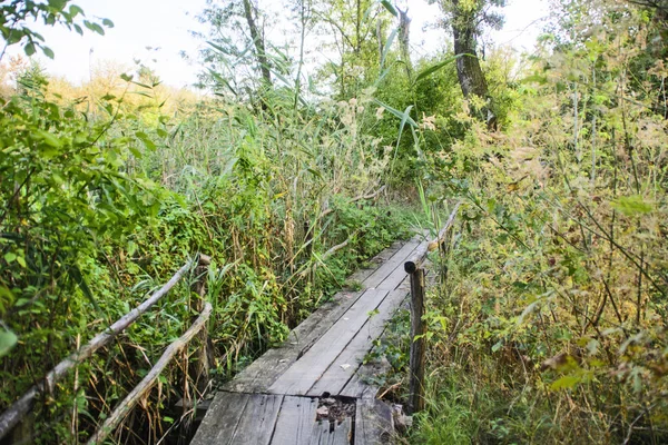 Malowniczy Niewielki Drewniany Most Nad Wodą — Zdjęcie stockowe