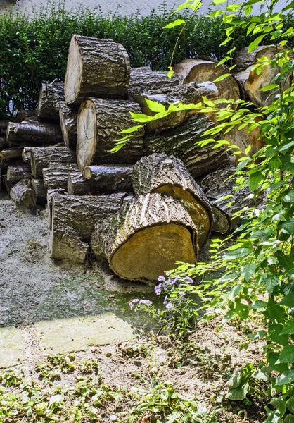 Zugeschnittenes Holz Wartet Darauf Winter Verwendet Werden — Stockfoto