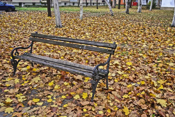 Деревянная Скамейка Покрытая Осенью Опавшими Листьями Скамейка Перед Жилым Домом — стоковое фото