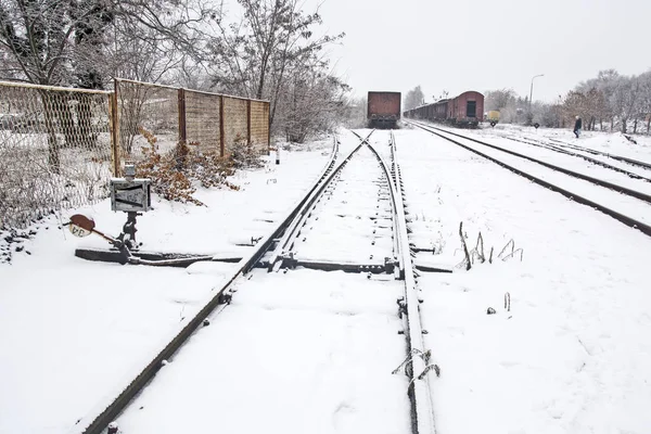 Winter Snow Fell Tracks Intersections Two Tracks — Stock Photo, Image